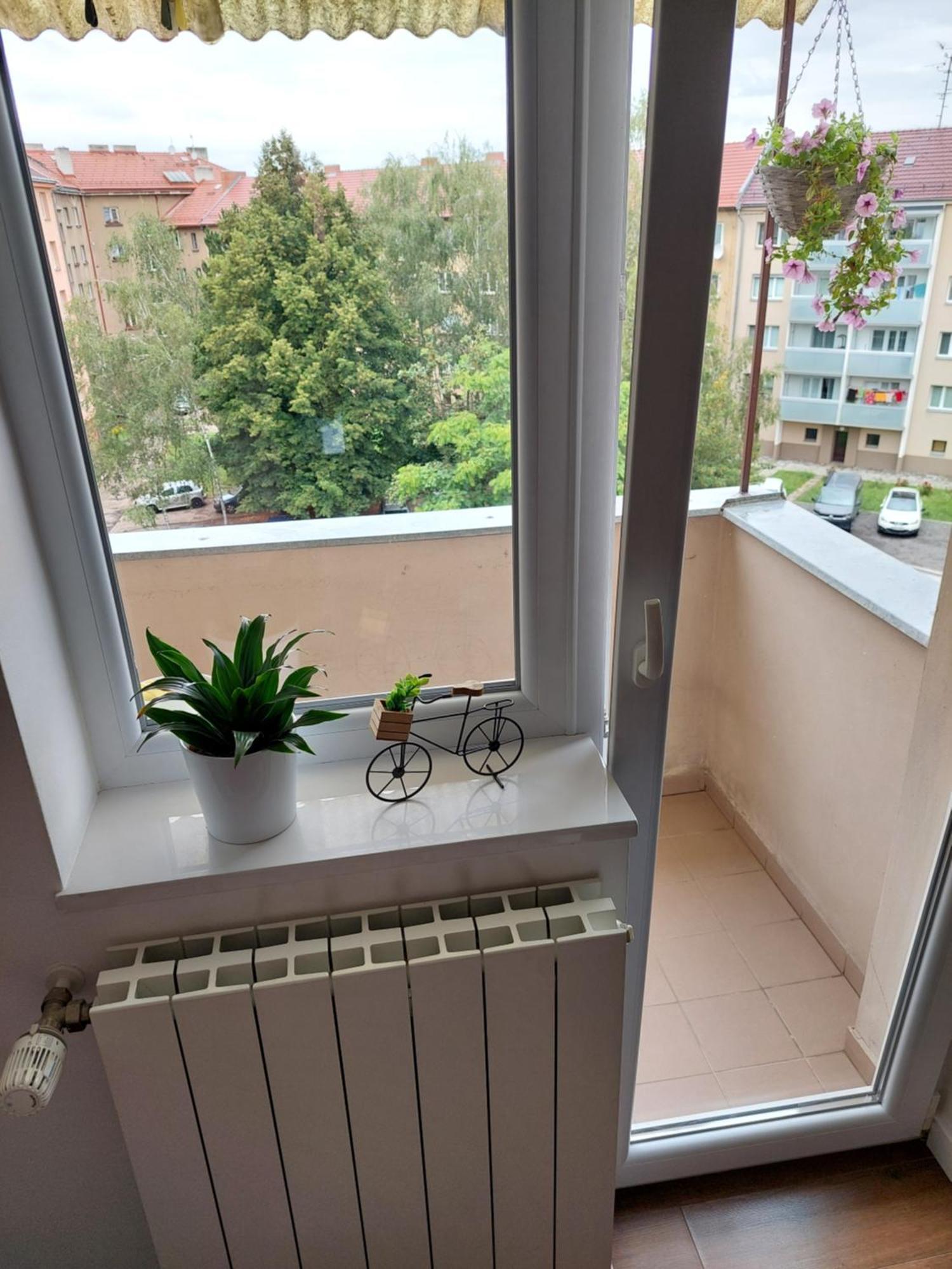 B&B Resslova Hradec Králové Exteriör bild